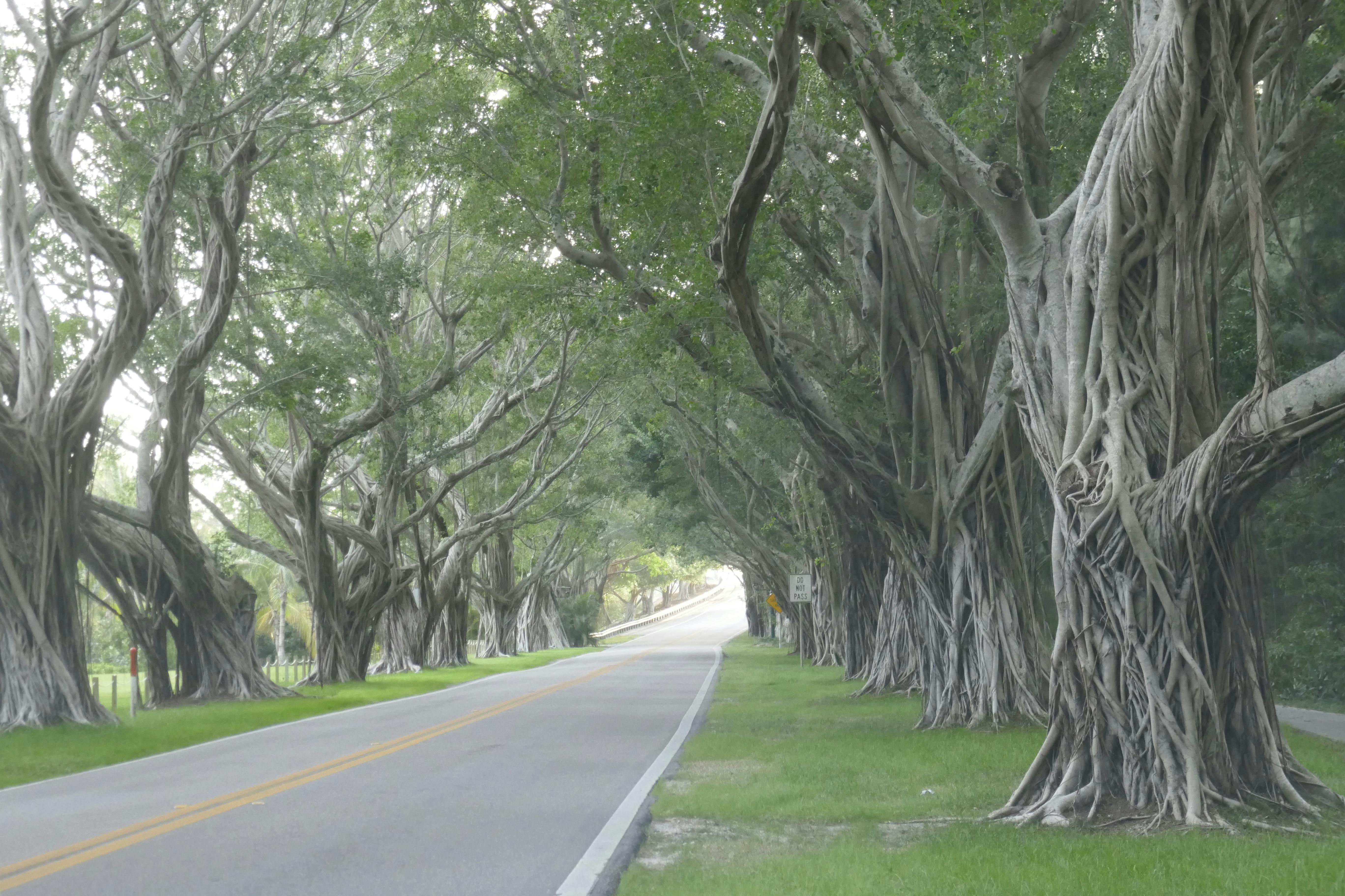 mobile notary services in hobe sound