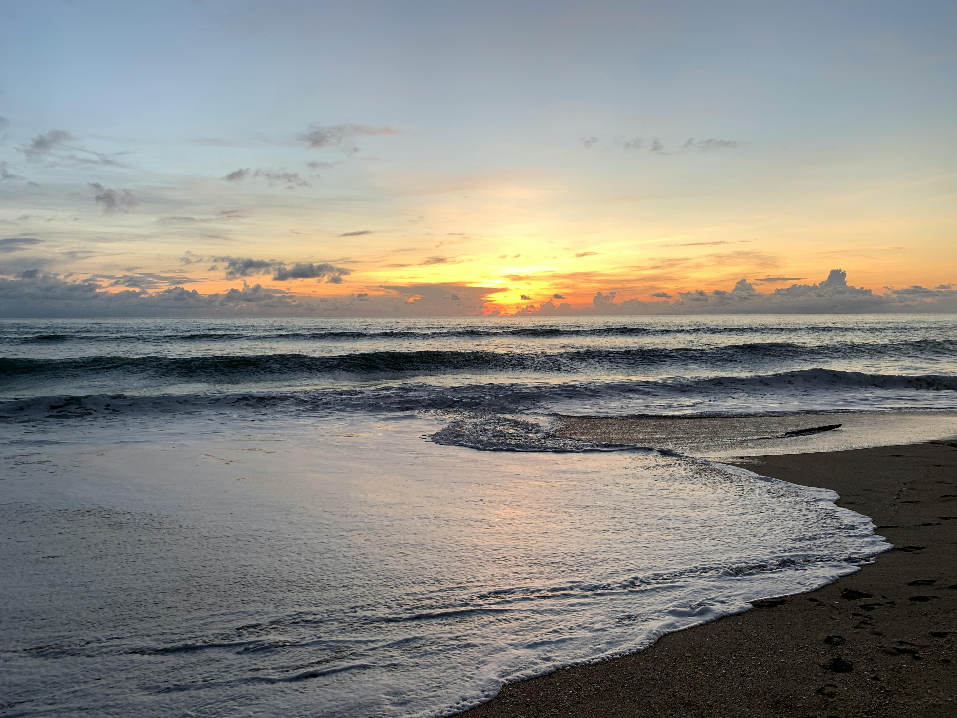 Notary Services in Jensen Beach: What Locals Should Know